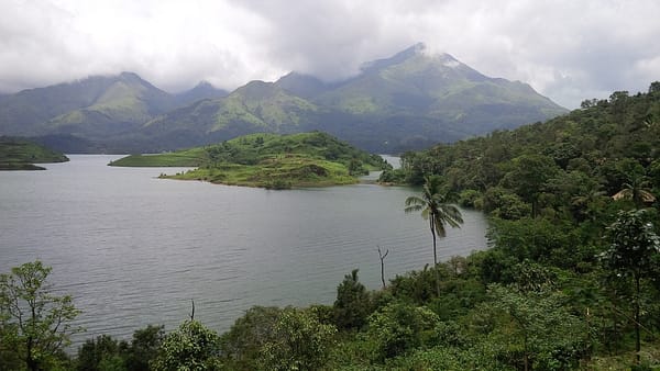 wayanad-3590626_1920